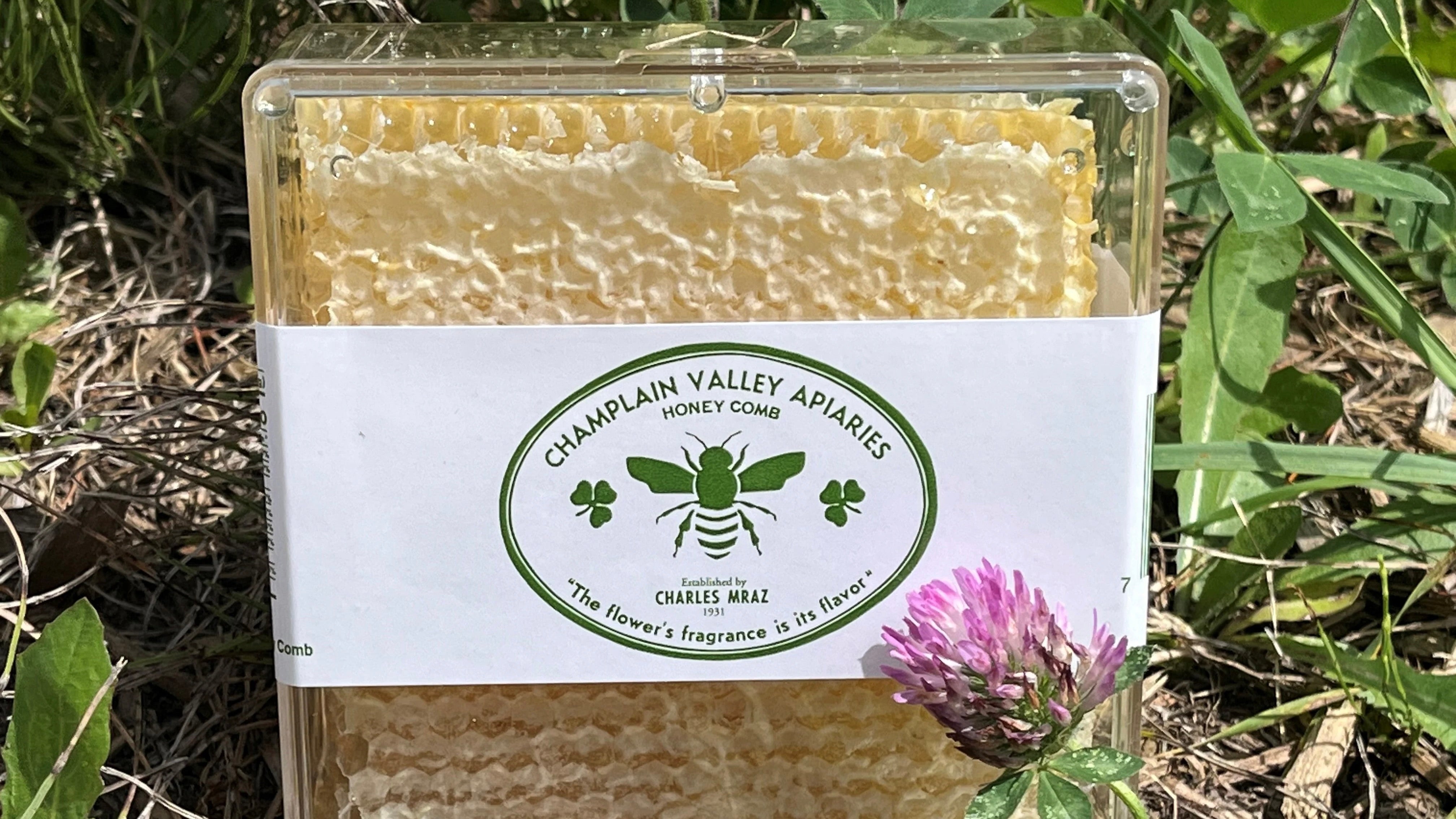 How to Use Comb Honey