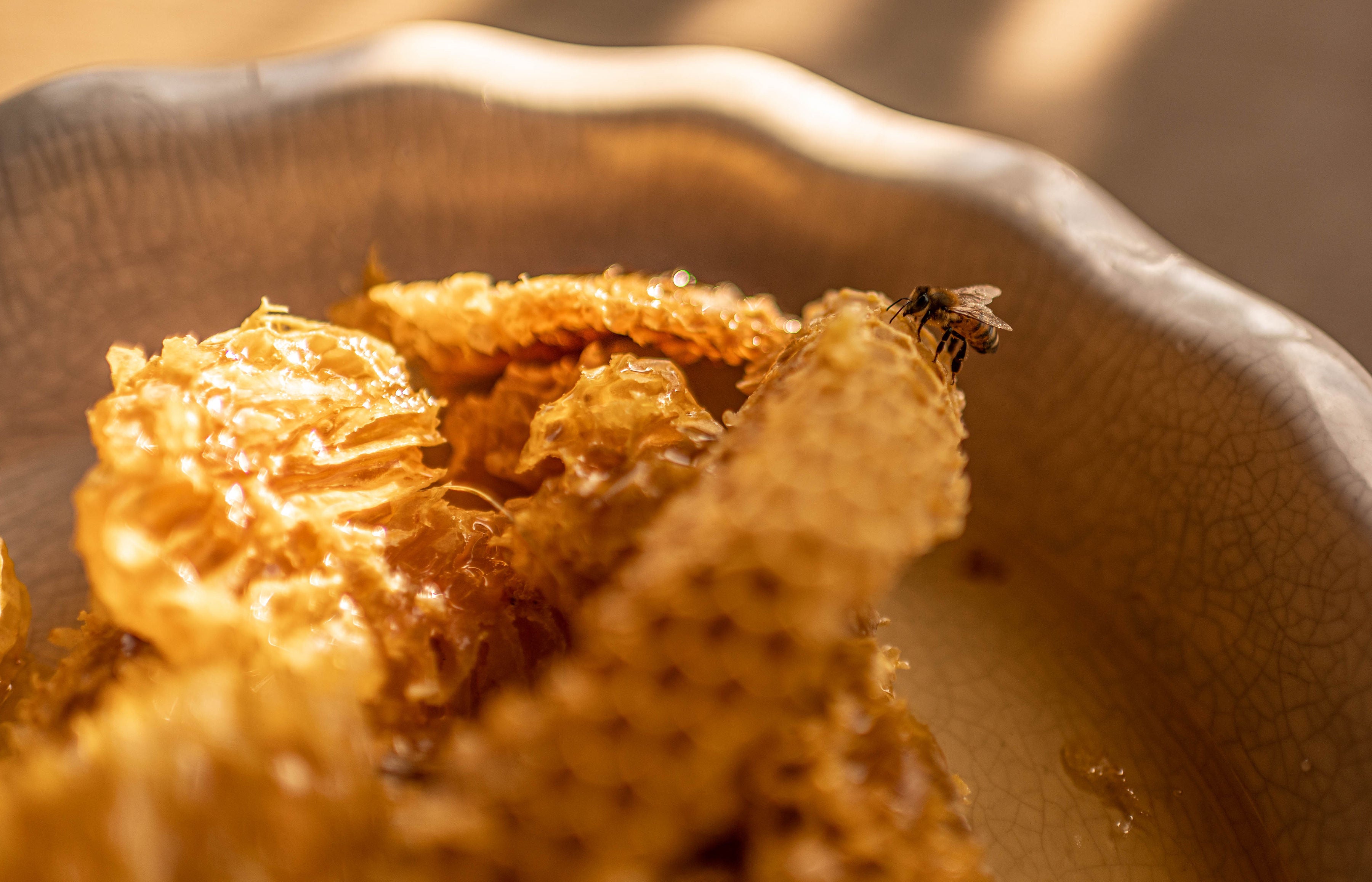 Letter From Our President, Curtis Mraz