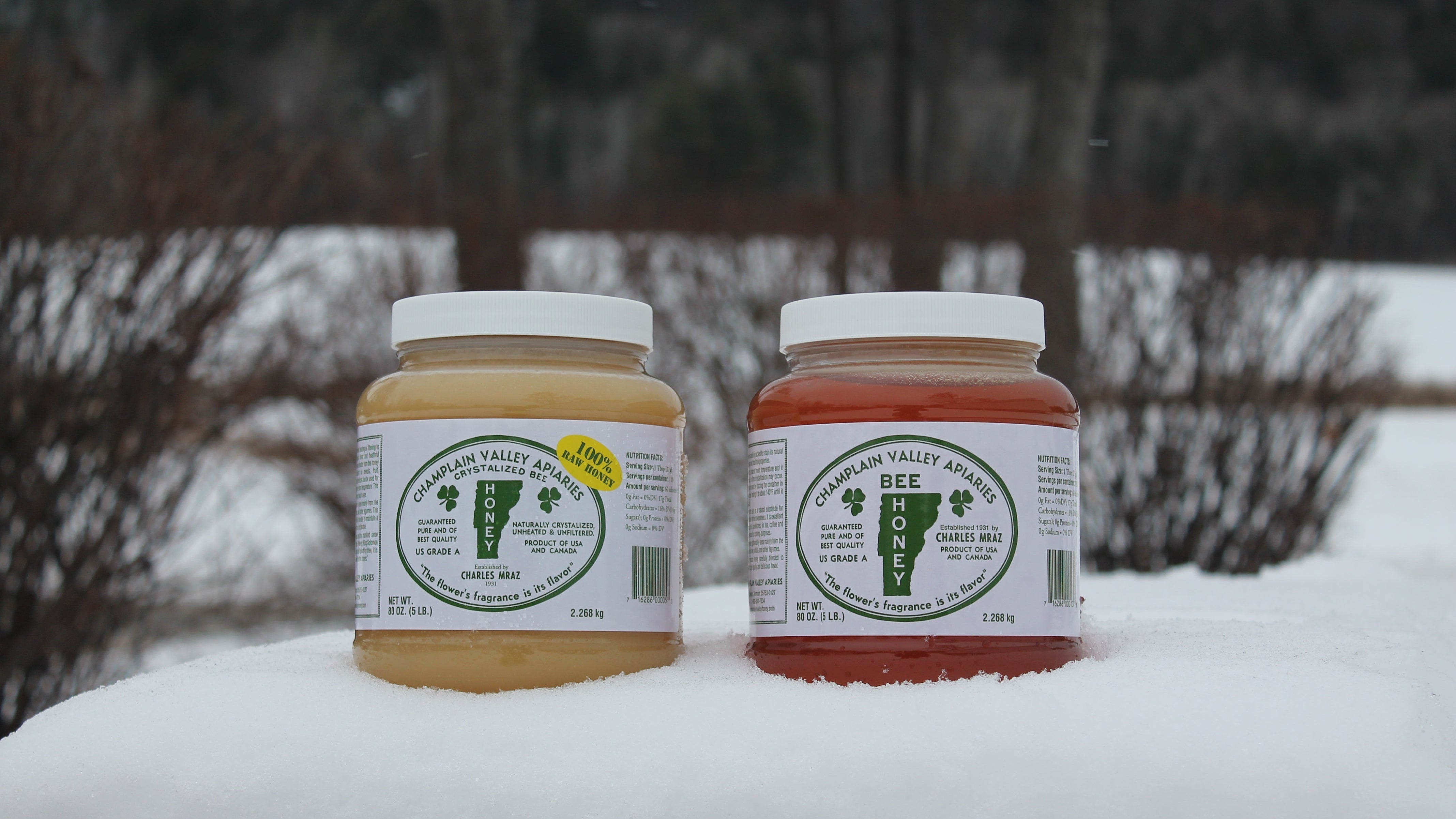 What Do Honeybees Do in the Winter?