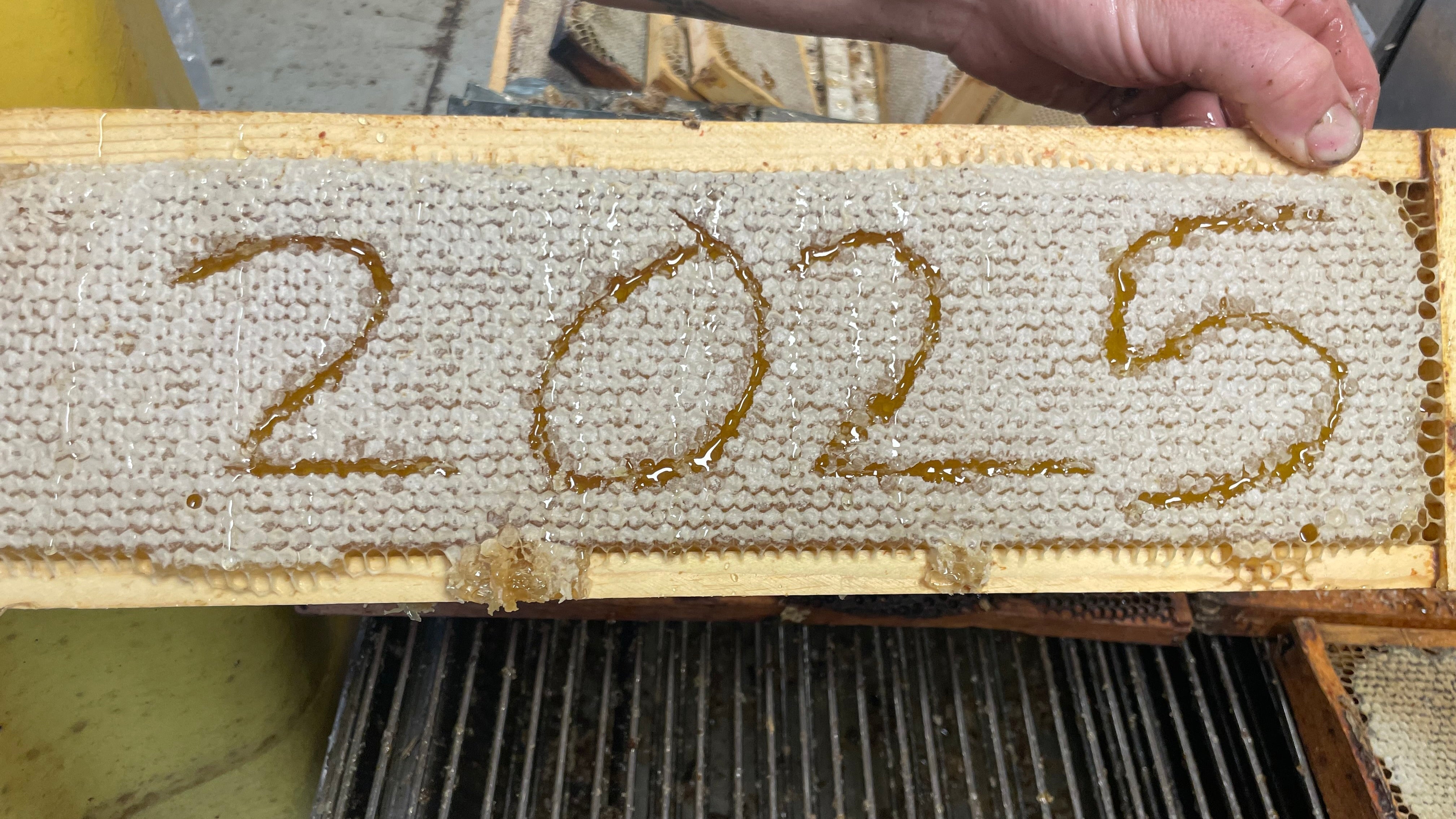 August Honey Extraction