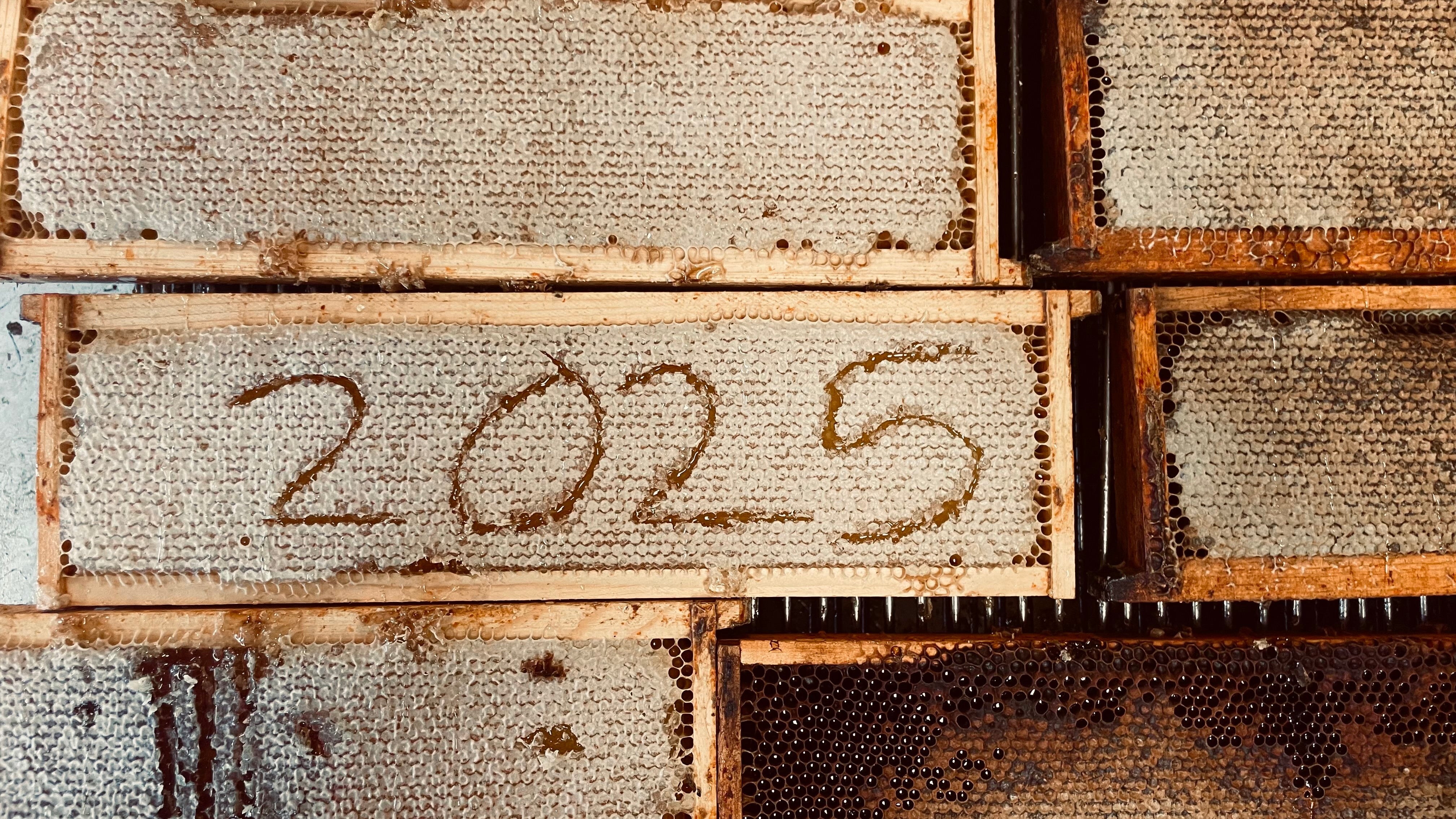 2025 Year End Letter