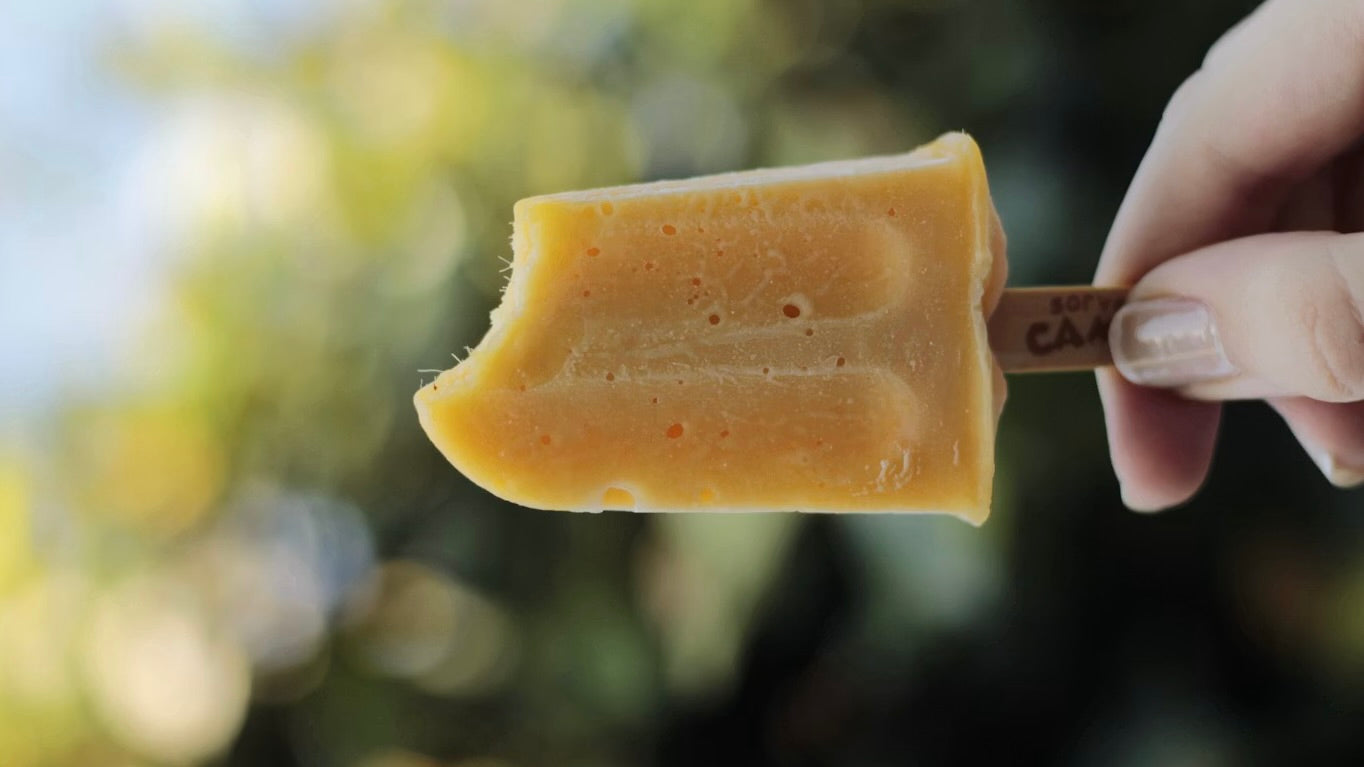 Honey Popsicles