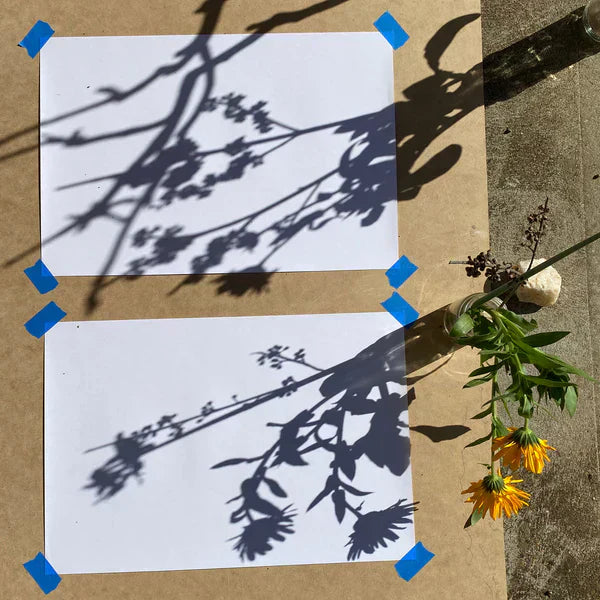 Shadow Floral Art