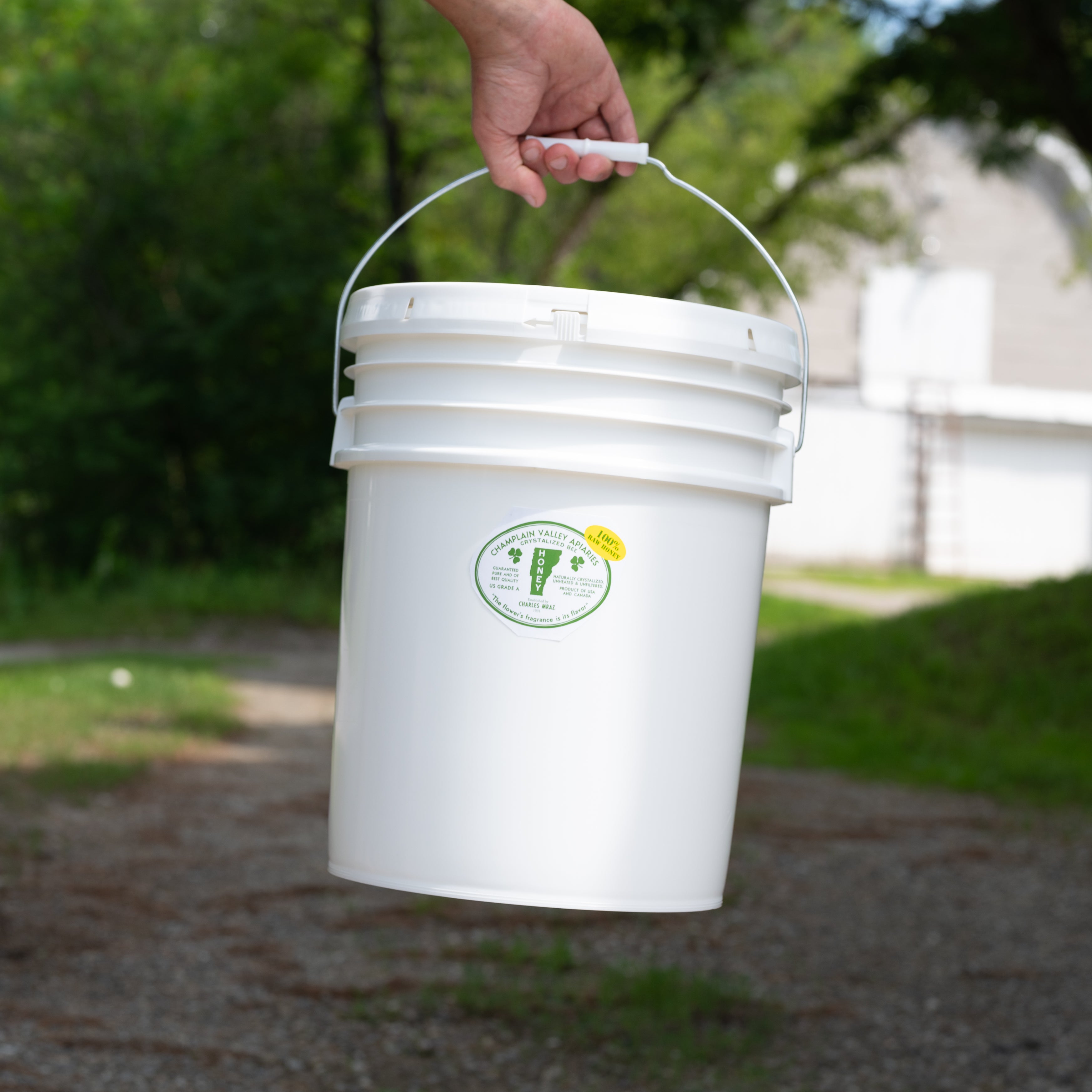 Raw Crystallized Honey - 55 Lb Pail
