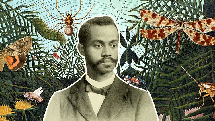 Famous Black Beekeepers