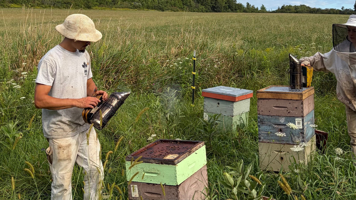 A Beekeeper's Tools, Explained