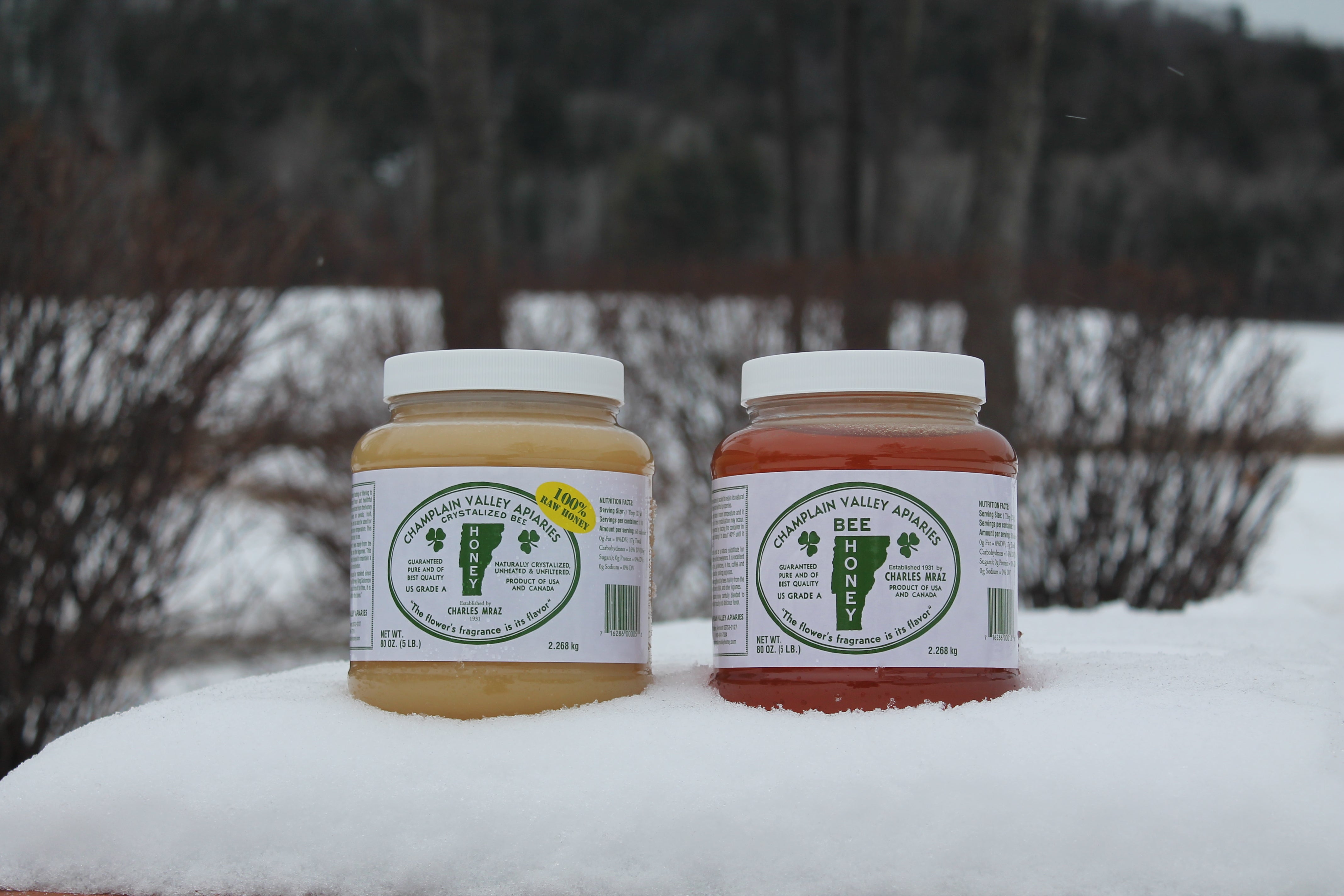 What Do Honeybees Do in the Winter?