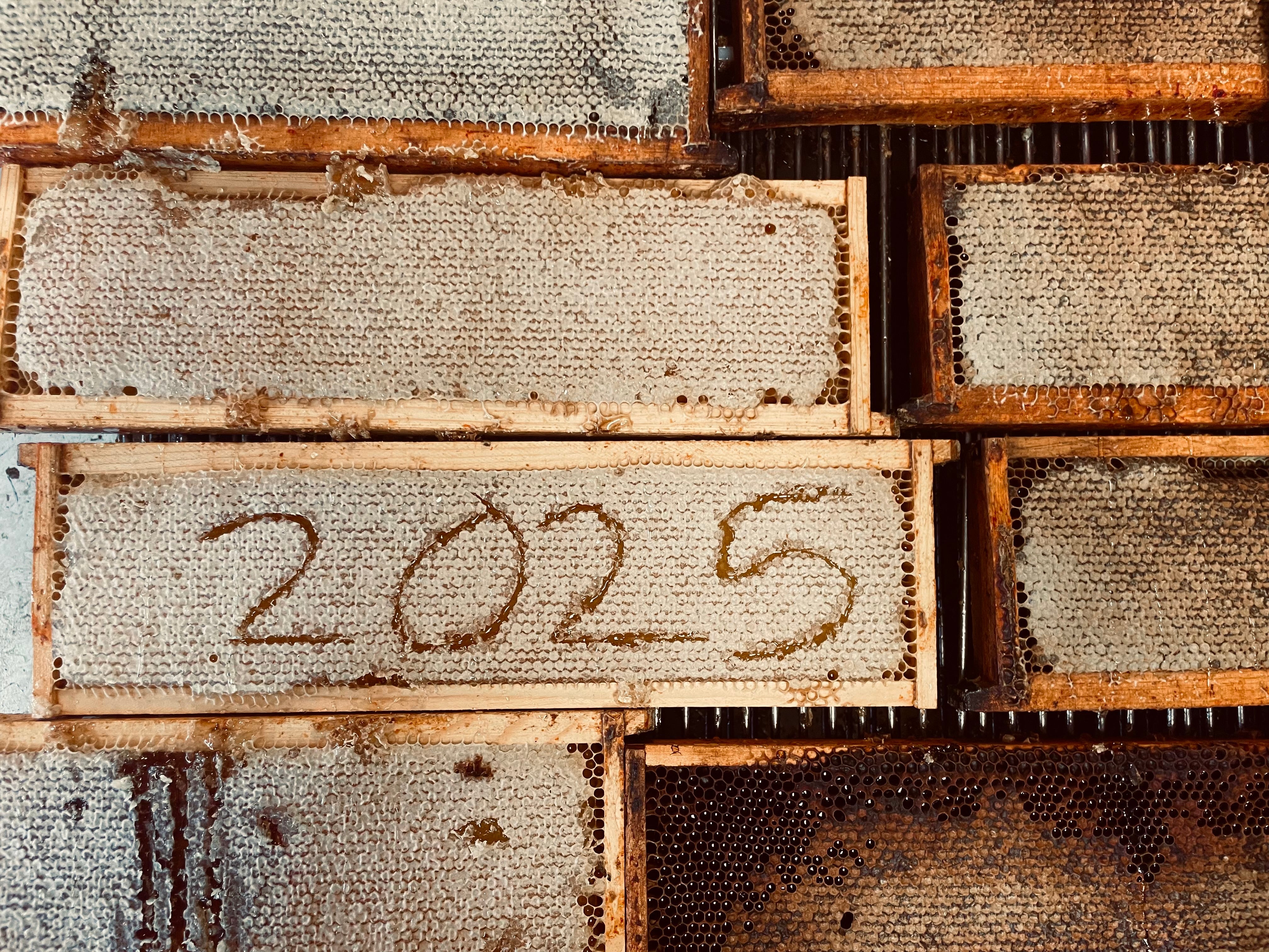 2025 Year End Letter