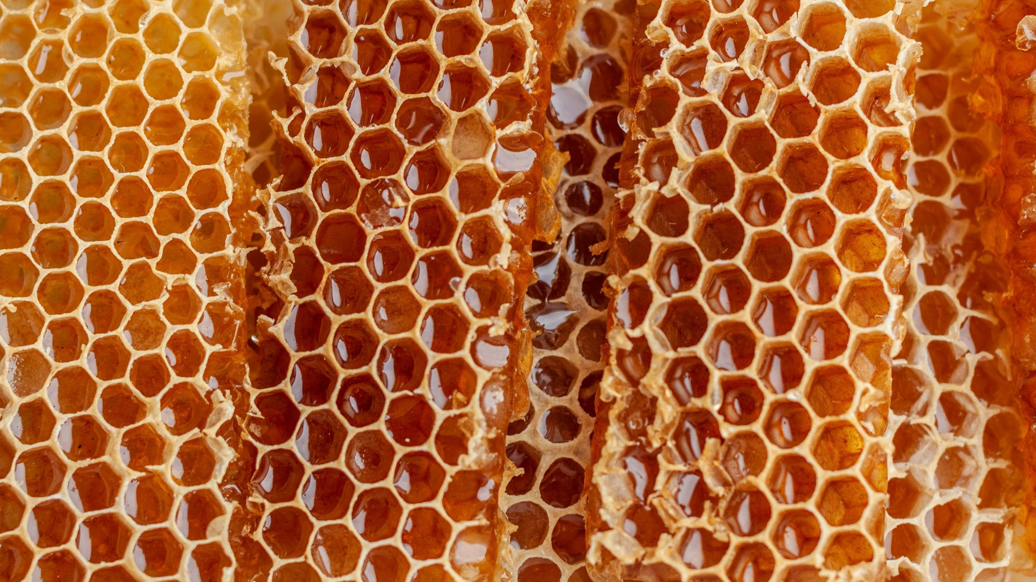 How is Honey Made?