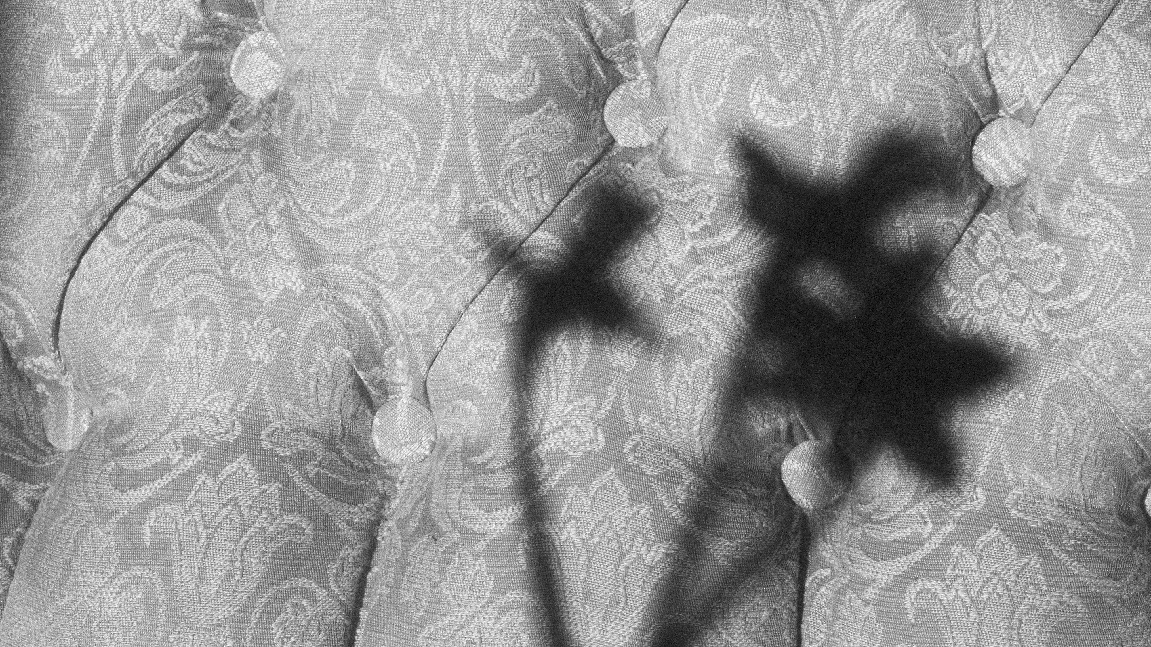 Shadow Floral Art