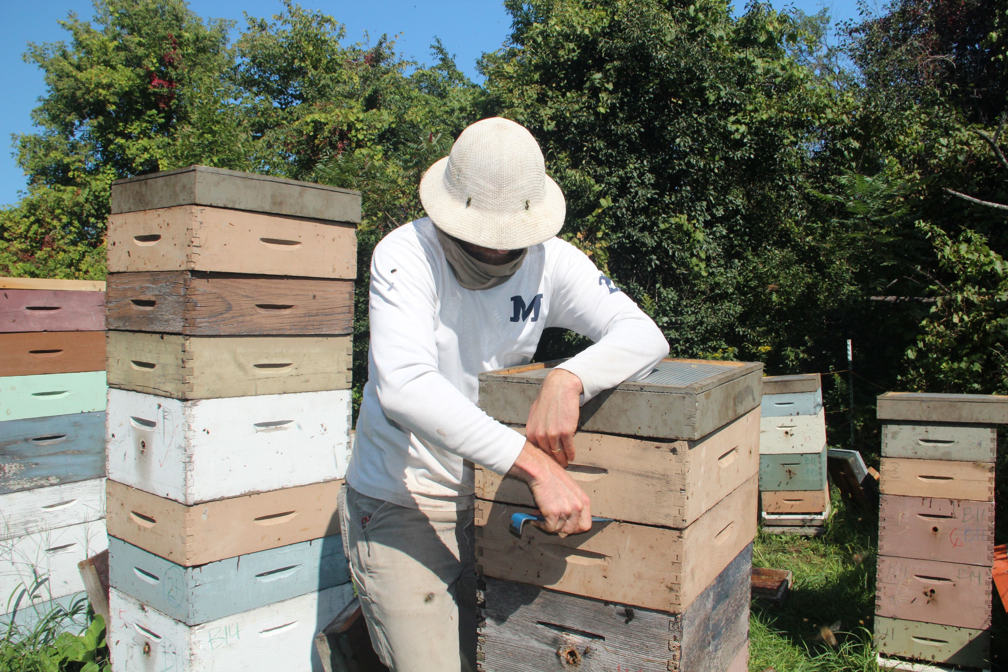 Bee & Barrel Gift Pack - Raw Honey and Aged Maple Syrup